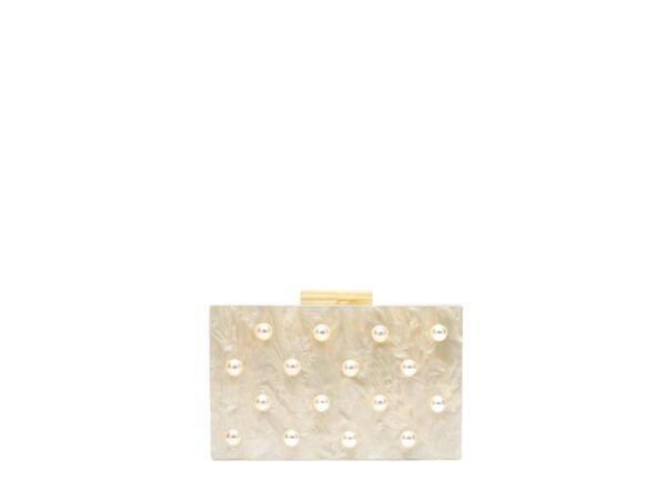 2025 New Shaped Shell Acrylic Bag